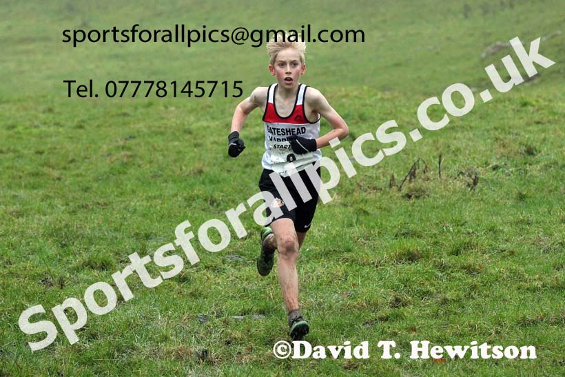 Boys under-13s, NECAA Junior Cross Country Relays, Thornley Farm, Peterlee, Saturday, December 12th. Photo: David T. Hewitson/Sports for All Pics